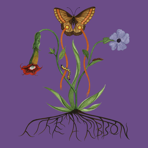 Like A Ribbon (Deluxe)