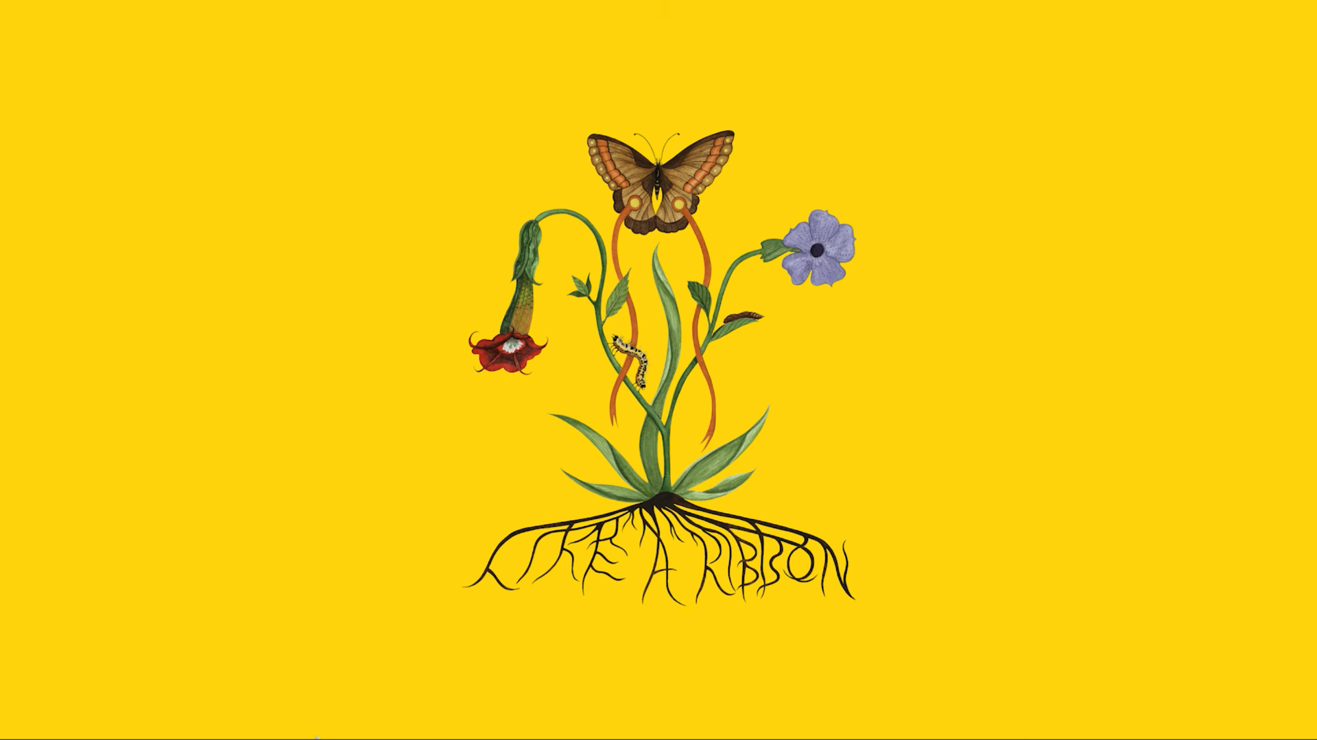 Like A Ribbon cover
